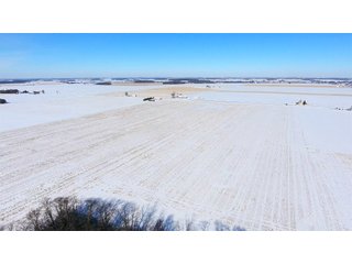 Property photo 27 - OHIO REAL ESTATE AUCTION - 202+/- ACRES IN 3 TRACTS IN VAN WERT COUNTY, OHIO